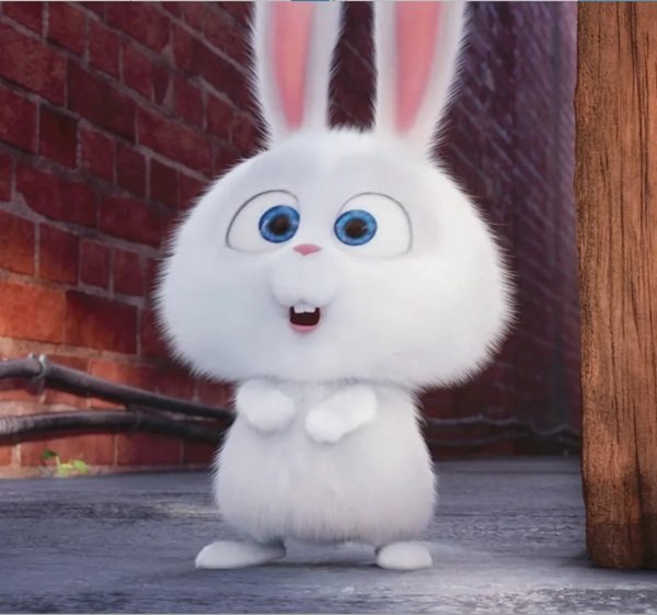 thỏ snowball meme 20