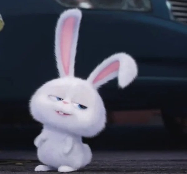 thỏ snowball meme 21