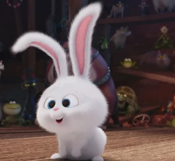 thỏ snowball meme 22