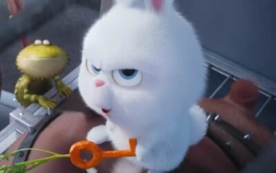 177+ Ảnh thỏ snowball meme dễ thương với biểu cảm hài hước