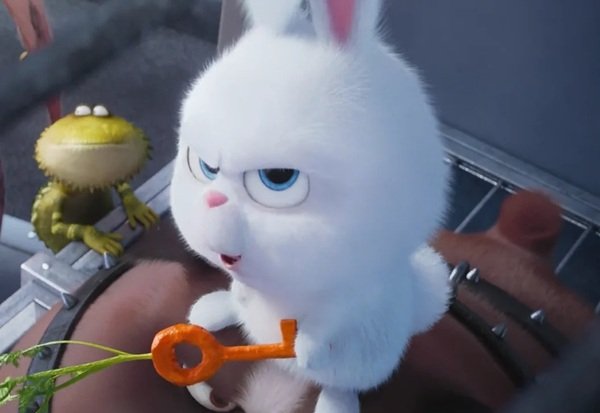 thỏ snowball meme 23