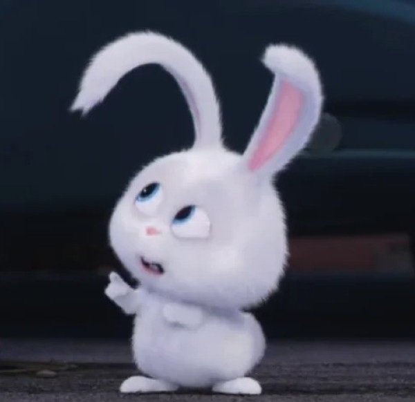 thỏ snowball meme 24