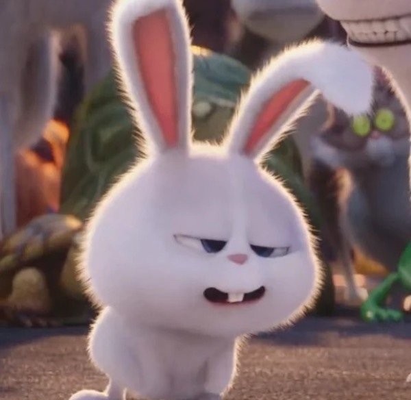 thỏ snowball meme 25