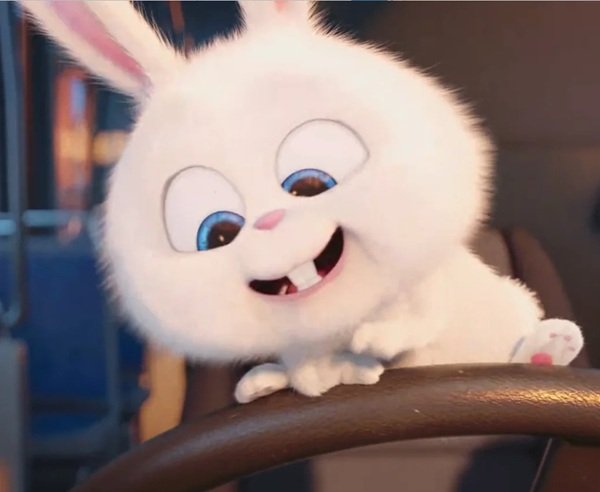 thỏ snowball meme 26