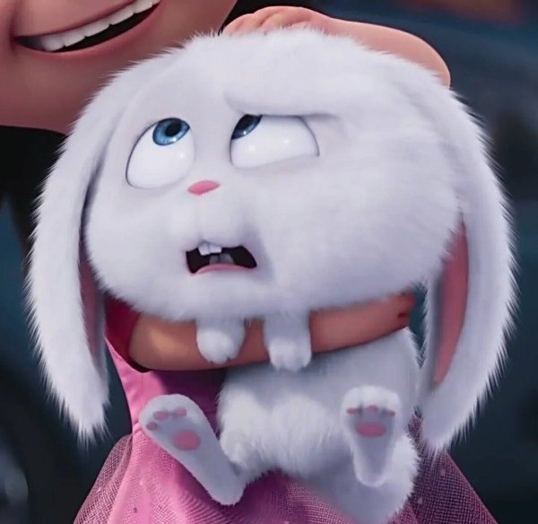 thỏ snowball meme 27