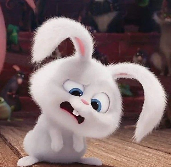thỏ snowball meme 28
