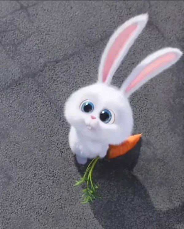 thỏ snowball meme 29