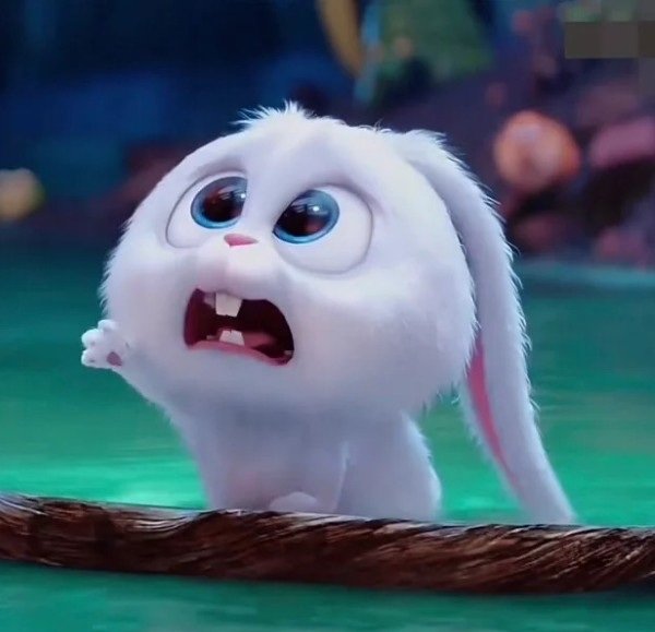 thỏ snowball meme 3