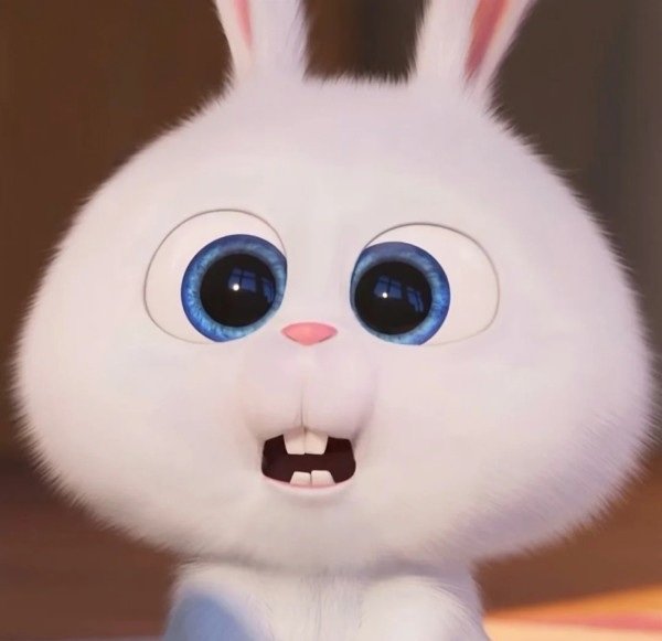 thỏ snowball meme 4