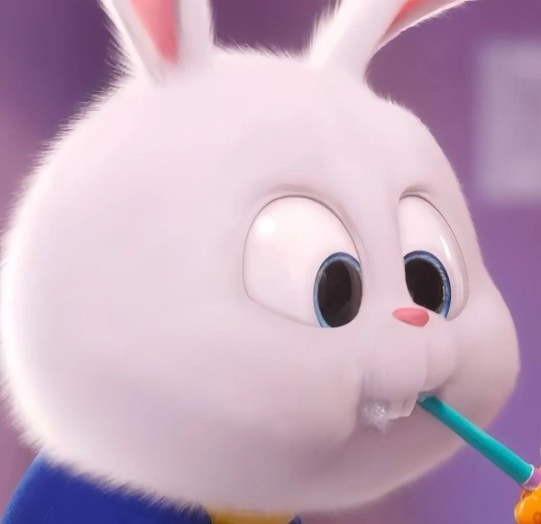 thỏ snowball meme 6