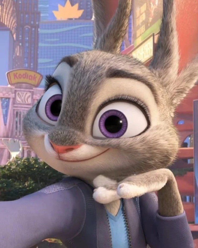 thỏ zootopia 3