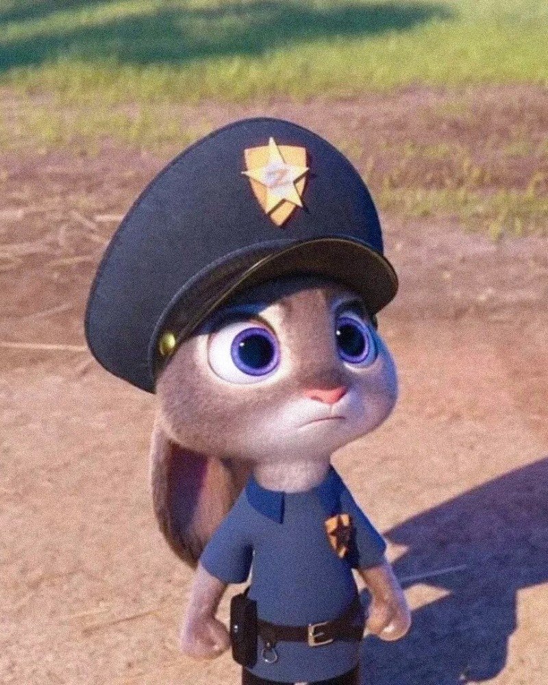 thỏ zootopia 6