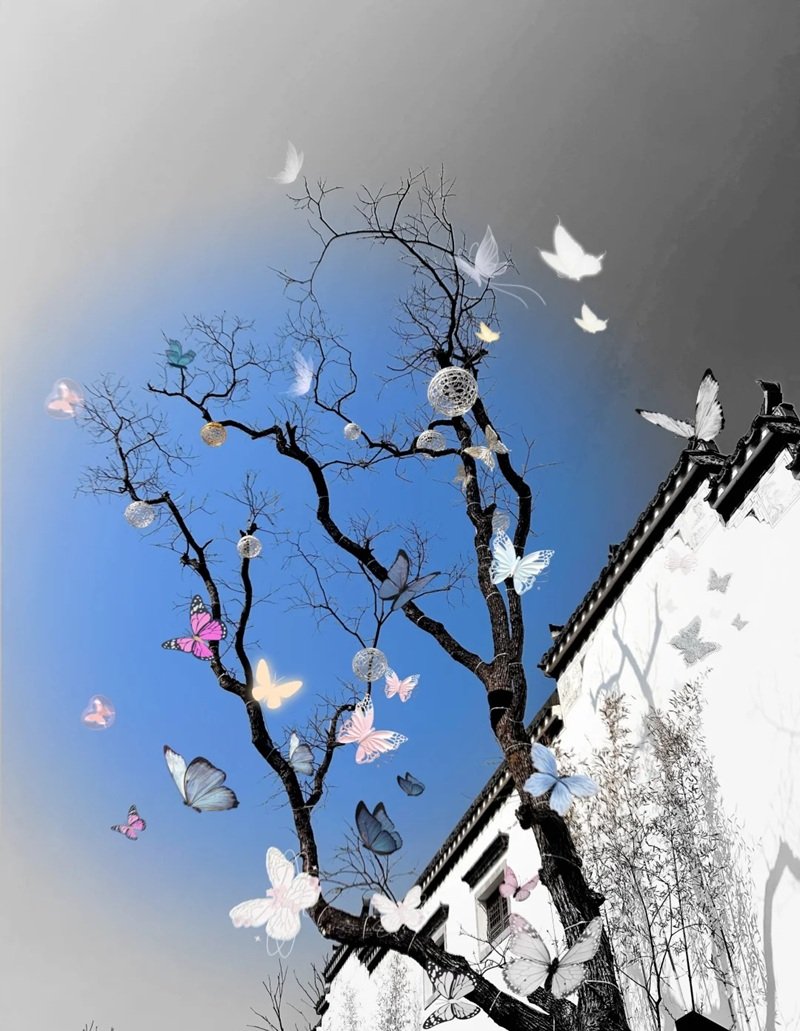 hình con bươm bướm 14