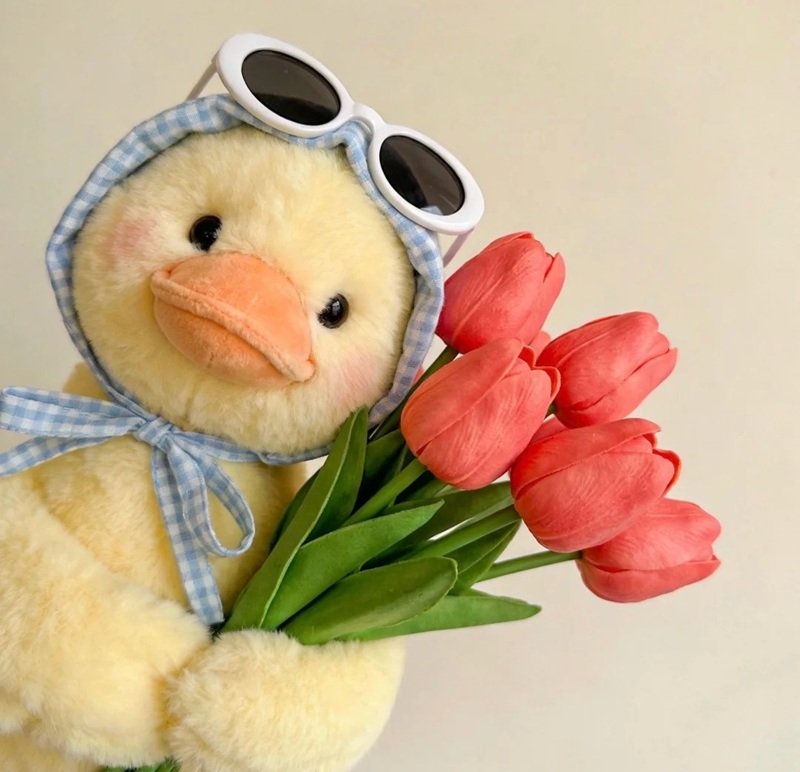 hình con vịt dễ thương 23