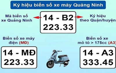 14 là tỉnh nào? Giải đáp chi tiết về biển số xe 14