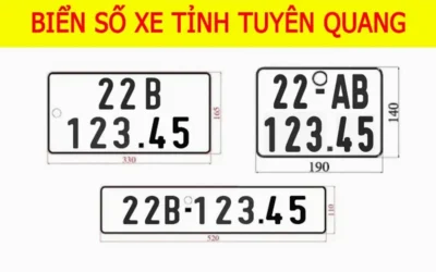 22 Là Tỉnh Nào? Giải Mã Ý Nghĩa & Thông Tin Chi Tiết Nhất