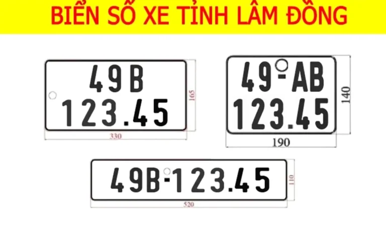 49 là tỉnh nào? Giải mã bí ẩn biển số xe 49