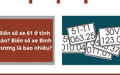 61 là tỉnh nào? Khám phá ý nghĩa biển số xe 61