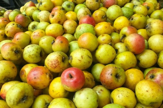 7 loại trái cây bà bầu không nên ăn