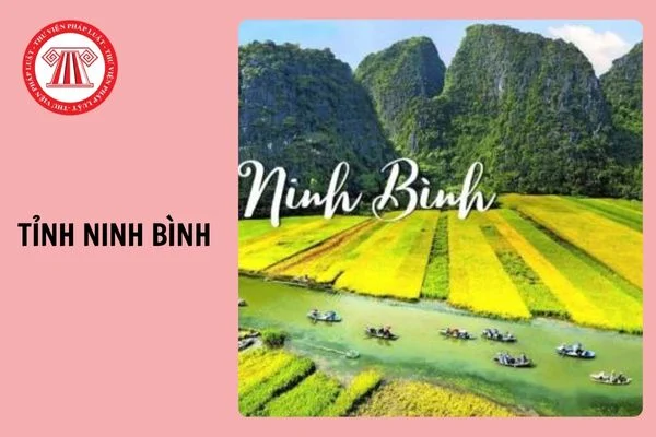 Những câu hỏi thường gặp
