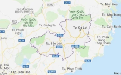 Đà Lạt Ở Tỉnh Nào? Khám Phá Vùng Đất Ngàn Hoa