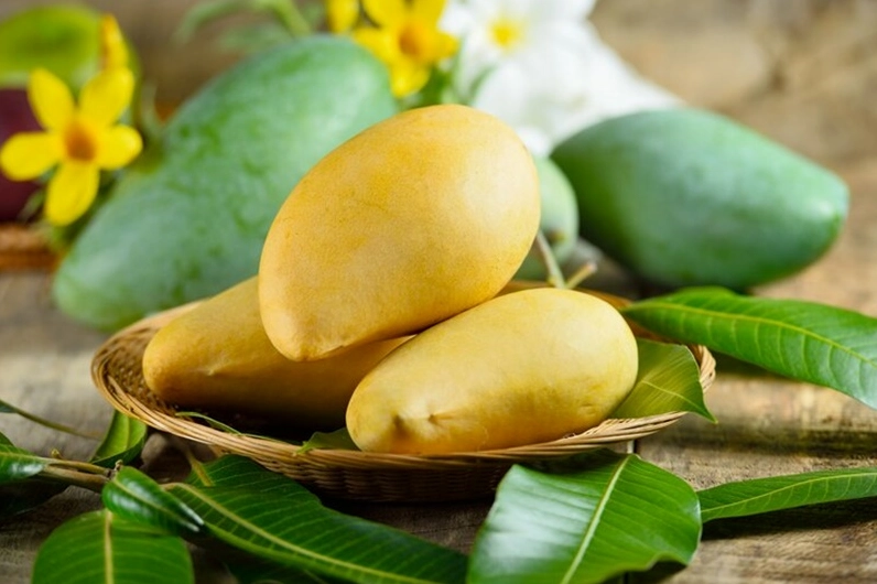 Ăn xoài chín có thể làm tăng lượng đường máu