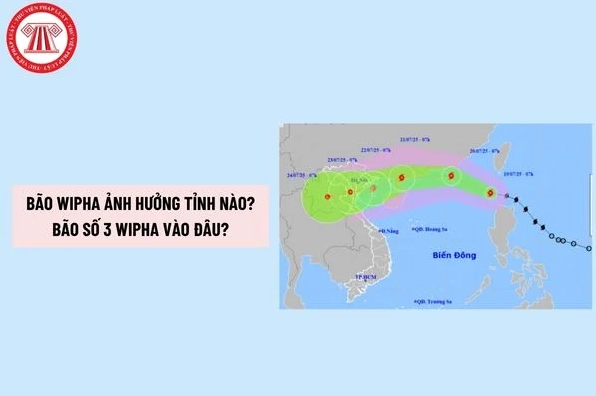 Ảnh minh họa đường đi của bão Wipha