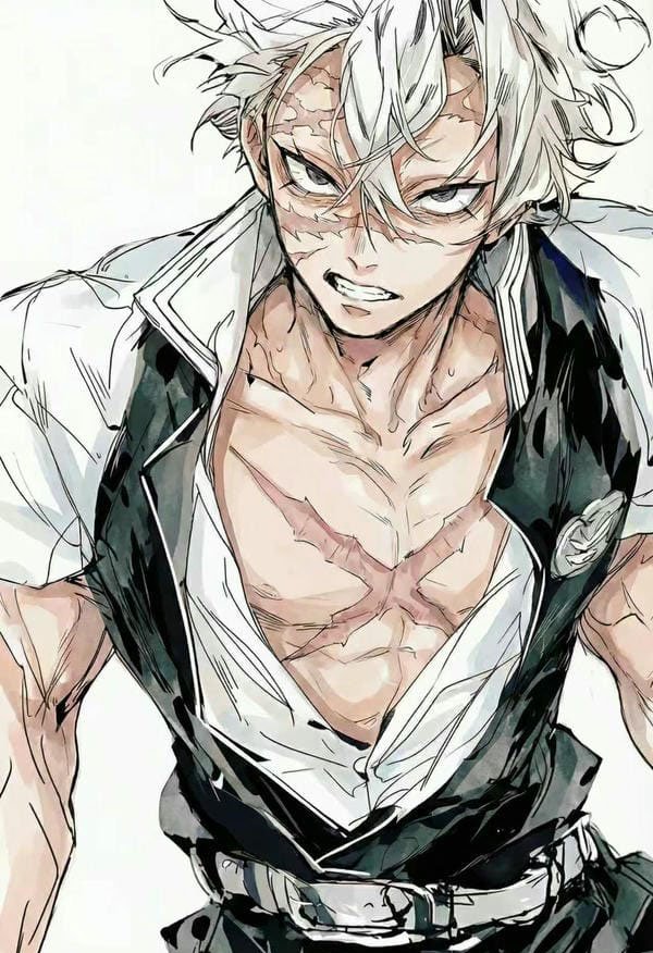 99+ Ảnh Sanemi Ngầu Cực Chất Khiến Fan Kimetsu Mê Mẩn