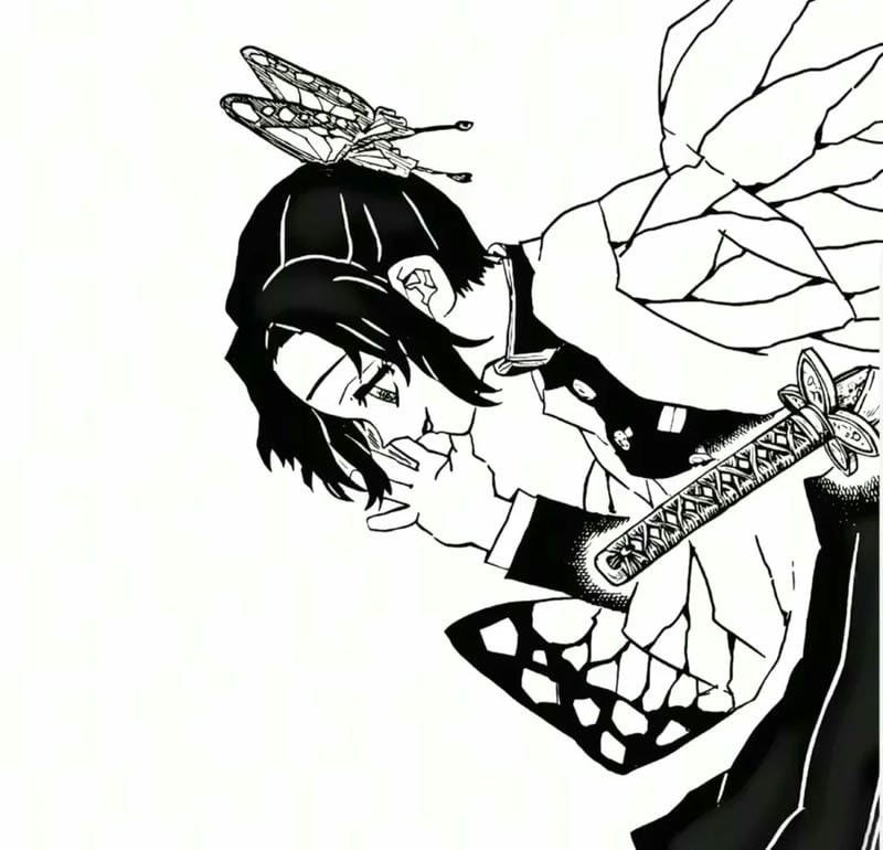 ảnh shinobu ngầu 1