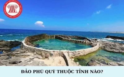 Đảo Phú Quý Thuộc Tỉnh Nào? Khám Phá Tiềm Năng Du Lịch 2026