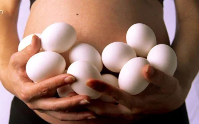 Bà bầu nên ăn trứng ngỗng vào tháng thứ mấy để tốt cho thai nhi?