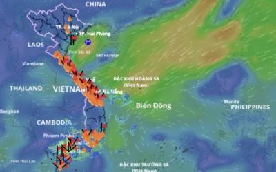 Bão số 13 vào tỉnh nào? Dự báo và Kịch bản ứng phó 2026
