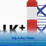 Bị hạ kali máu nên ăn gì? Thực đơn vàng giúp phục hồi sức khỏe nhanh