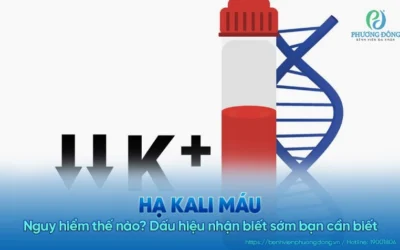 Bị hạ kali máu nên ăn gì? Thực đơn vàng giúp phục hồi sức khỏe nhanh