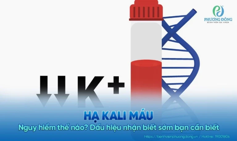 Bị hạ kali máu nên ăn gì? Thực đơn vàng giúp phục hồi sức khỏe nhanh