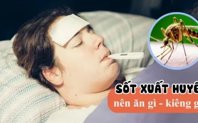 Bị sốt xuất huyết nên ăn gì? Danh sách thực phẩm giúp nhanh hồi phục