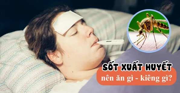 Bị sốt xuất huyết nên ăn gì? Danh sách thực phẩm giúp nhanh hồi phục