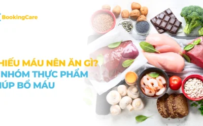 Bị thiếu máu nên ăn gì? 4 Nhóm thực phẩm giúp bổ máu hiệu quả