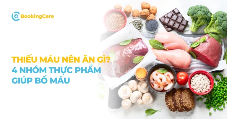 Bị thiếu máu nên ăn gì? 4 Nhóm thực phẩm giúp bổ máu hiệu quả