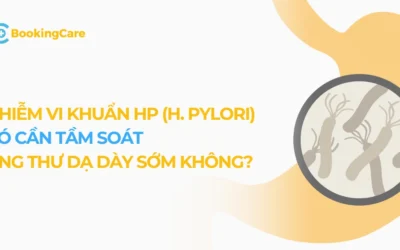 Bị vi khuẩn HP không nên ăn gì và chế độ ăn giúp dạ dày nhanh phục hồi
