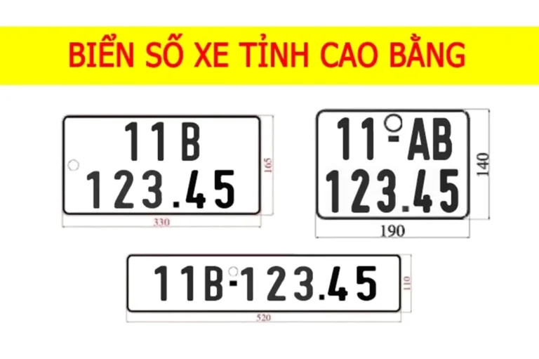 Biển số xe 11 là tỉnh nào? Giải đáp chi tiết và cập nhật mới nhất 2026