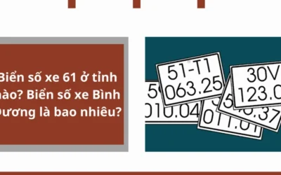 Biển số xe 61 là tỉnh nào? Giải đáp chi tiết và cập nhật mới nhất 2026