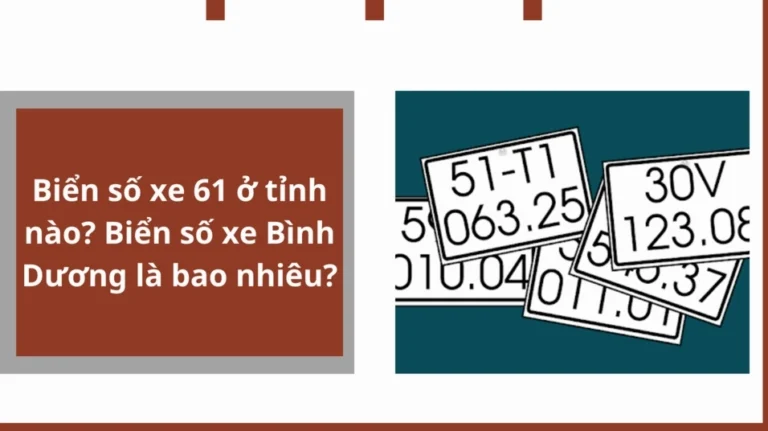 Biển số xe 61 là tỉnh nào? Giải đáp chi tiết và cập nhật mới nhất 2026