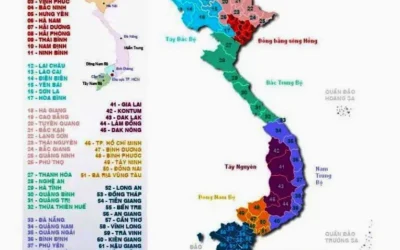 Biển Số Xe 62 Tỉnh Nào? Khám Phá An Giang & Các Vấn Đề Liên Quan