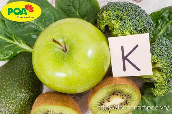 Bổ sung vitaminK cho người cơ thể người