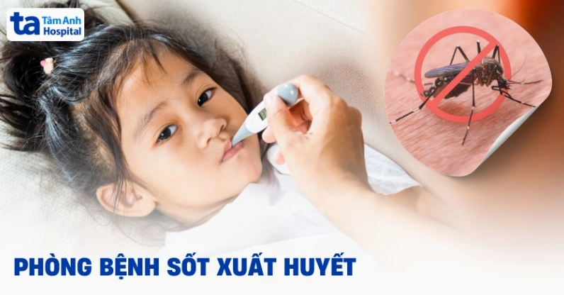 Các biện pháp phòng bệnh sốt xuất huyết tại nhà đơn giản và hiệu quả