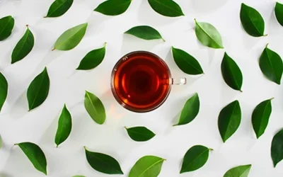 Các loại cá không nên ăn khi cho con bú: Mẹ cần tránh để bảo vệ bé yêu
