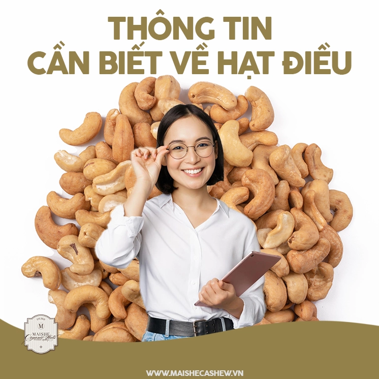 Các vấn đề về tim mạch và cholesterol