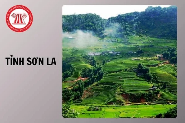 Sơn La sáp nhập với tỉnh nào? 