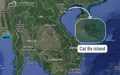 Cát Bà thuộc tỉnh nào? Giải đáp chi tiết & kinh nghiệm khám phá 2026